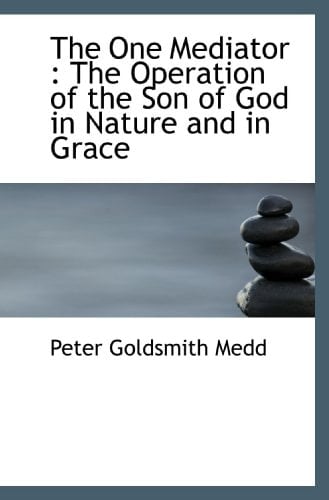 The One Mediator : The Operation of the Son of God in Nature and in Grace