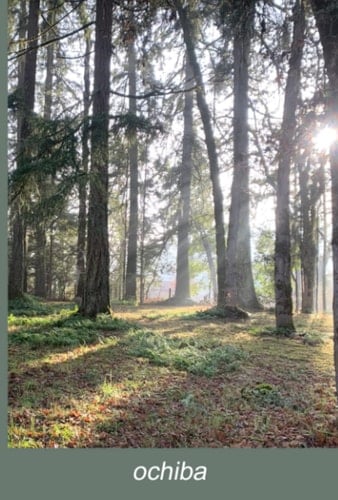 ochiba