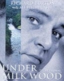 Soldier Soldier - Red Alley