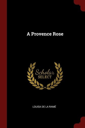 A Provence Rose