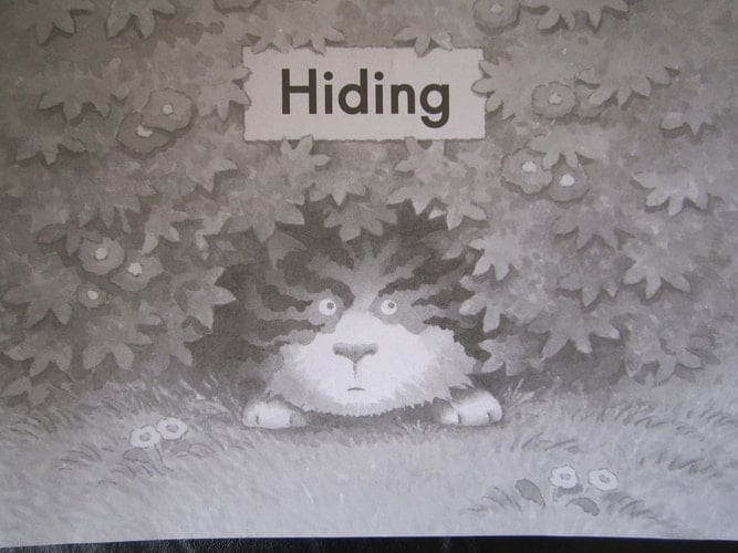 Hiding (Fountas and Pinnell Leveled Literacy Intervention Books, Orange System, Level B, Book 39)