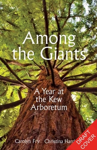 Among the Giants A Year at Kew's Arboretum