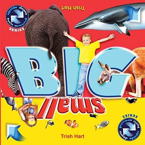 BIG and SMALL A Concept Picture Book for Children
