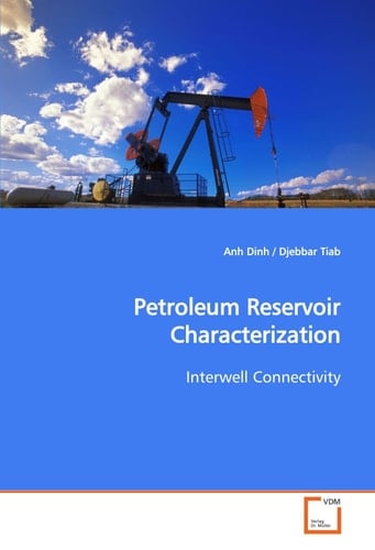 Petroleum Reservoir Characterization: Interwell Connectivity