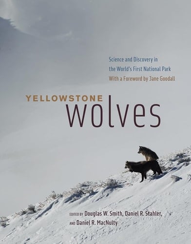 Yellowstone Wolves Science and Discovery in the World's First National Park