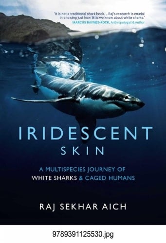 Iridescent Skin A Multispecies Journey of White Sharks & Caged Humans