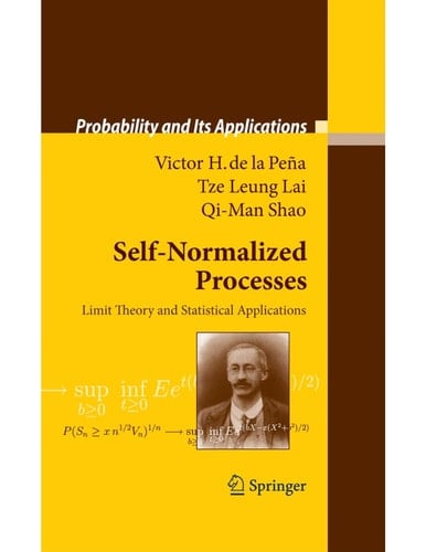 Self-Normalized Processes Limit Theory and Statistical Applications