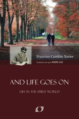 And Life Goes On [life in the Spirit World]