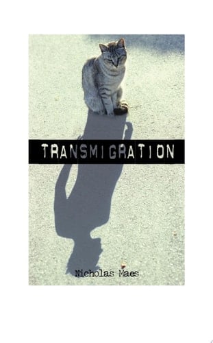 Transmigration
