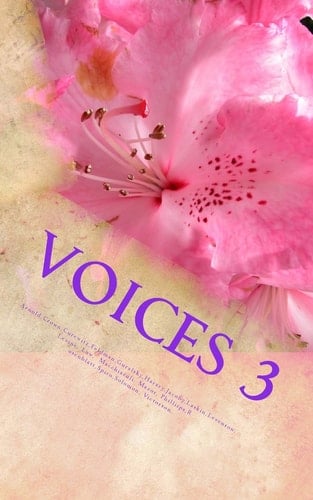 Voices 3 Weisman Senior Writers