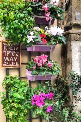 Notizbuch: Blumen Notizbuch - Tolles liniertes Blumen Notizbuch - 120 linierte Seiten um Fütterszeiten, Ideen und Gedanken festzuhalten | ca. DINA5, softcover | Geschenk (German Edition)