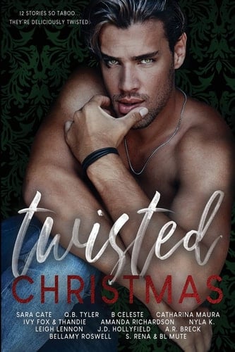 Twisted Christmas A Taboo Anthology