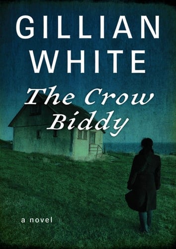 Crow Biddy: A Novel