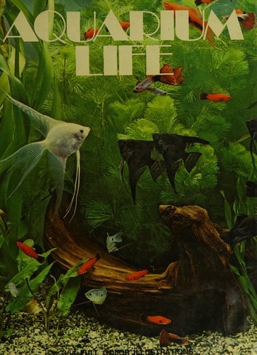 Aquarium Life