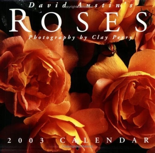 Roses Mini Calendar 2003