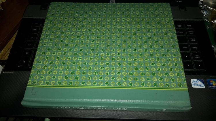 My Aunt Otilia's Spirits = Los espíritus de mi tía Otilia (Fifth World Tales)