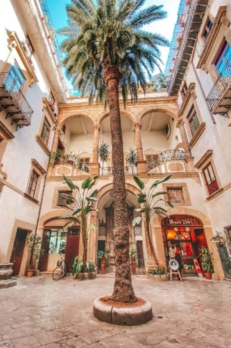 Notizbuch: Palmen Notizbuch - Tolles liniertes Palmes Notizbuch - 120 linierte Seiten um Fütterszeiten, Ideen und Gedanken festzuhalten | ca. DINA5, ... planen und organisieren (German Edition)