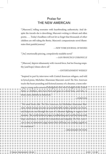 The New American A Novel