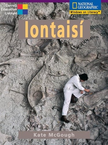 Fuinneog Ar an Domhan - Iontaisí