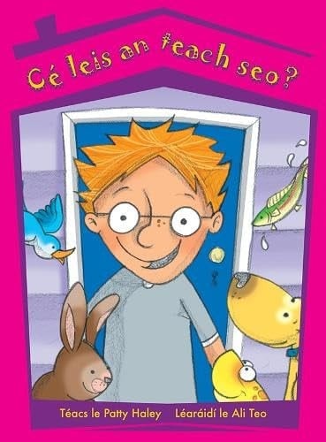 Cé leis an teach seo?