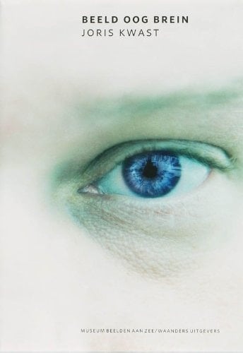 Beeld oog brein over beeldhouwkunst en visuele zeggingskracht