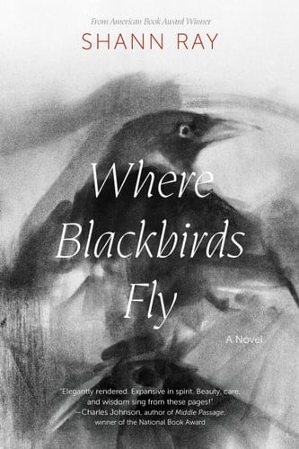 Where Blackbirds Fly: A Novel
