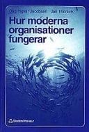 Hur moderna organisationer fungerar introduktion i organisation och ledarskap
