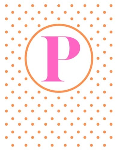 P Initial Notebook