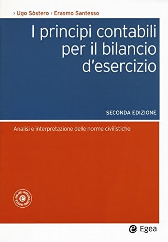 I principi contabili per il bilancio d'esercizio analisi e interpretazione delle norme civilistiche