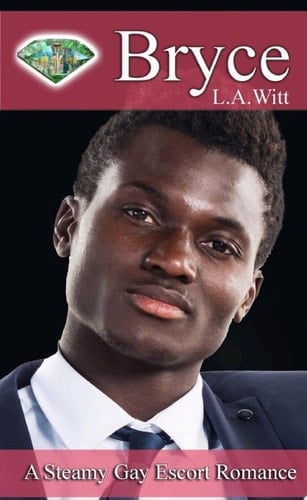 Bryce: A Steamy M/M Contemporary Escort Rock Star Romance