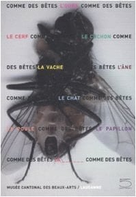 Comme des bêtes ours, chat, cochon & cie