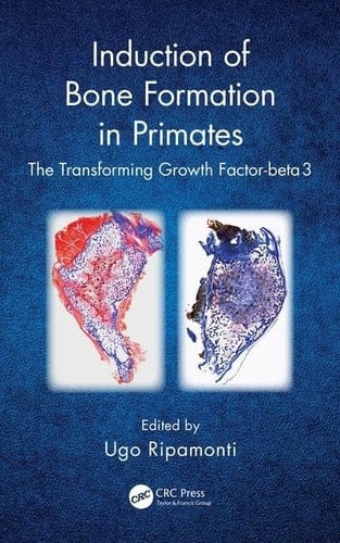 Induction of Bone Formation in Primates The Transforming Growth Factor