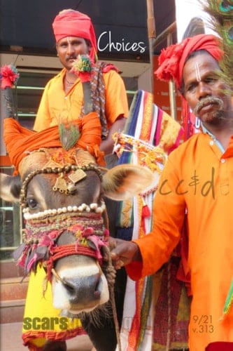 Choices: 9/21 cc&d, v313