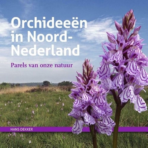 Orchideeën in Noord-Nederland : parels van onze natuur