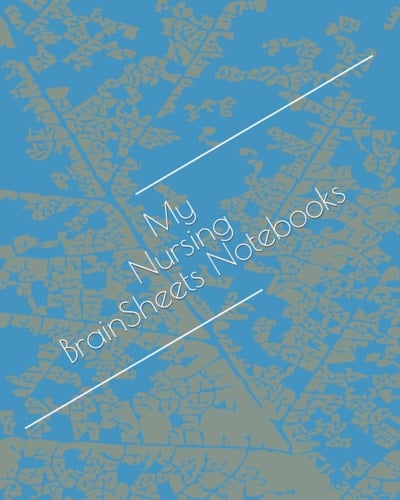 My Nursing Brain Sheets Notebook: Nurse Assessment Report Notebook Help You Master Assessments, Diagnoses, Interventions, and Outcomes