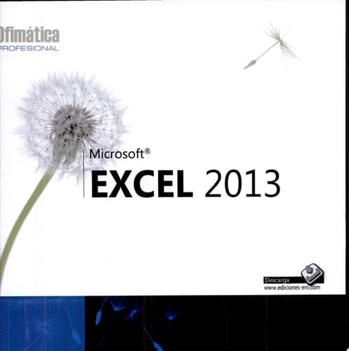 Excel 2013