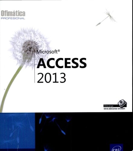 Access 2013