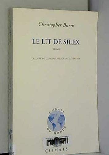 Le lit de silex roman