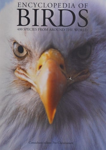 Encyclopedia of Birds 400 Species from Around the World