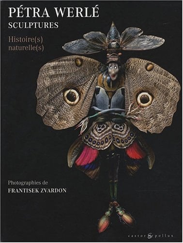 Pétra Werlé, sculptures histoire(s) naturelle(s)