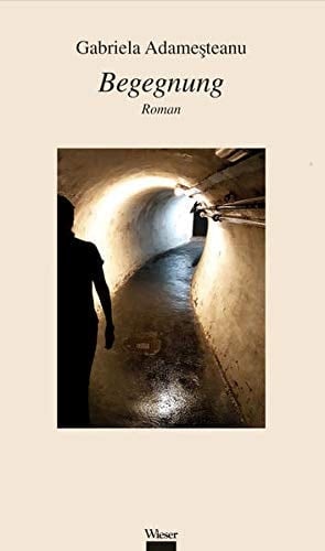 Begegnung Roman