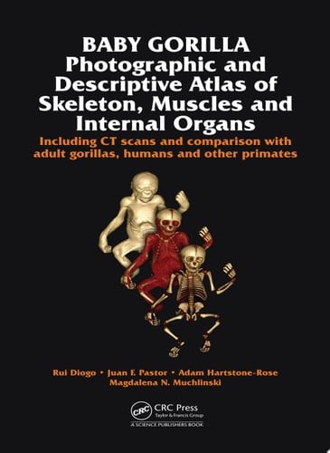 Baby Gorilla Photographic and Descriptive Atlas of Skeleton, Muscles and Internal Organs