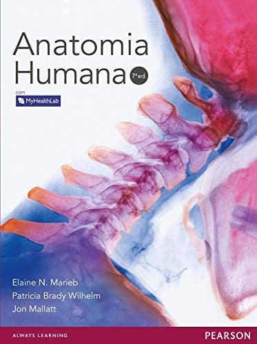 Anatomia Humana