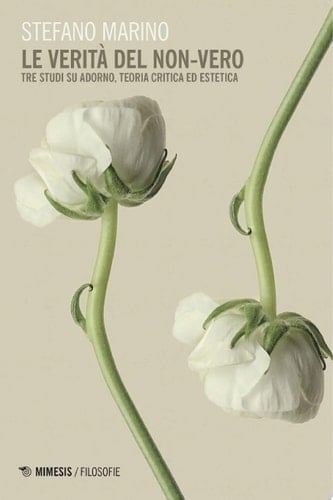 Le verità del non-vero Tre studi su Adorno, teoria critica ed estetica