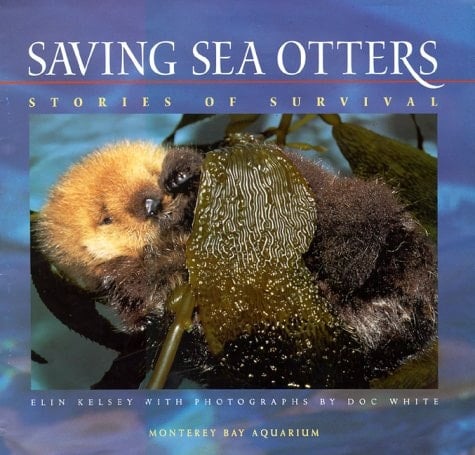 Saving Sea Otters, Stories of Survival