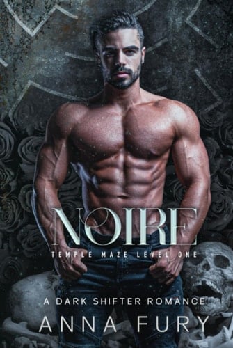 Noire - A Dark Shifter Romance Temple Maze Level One