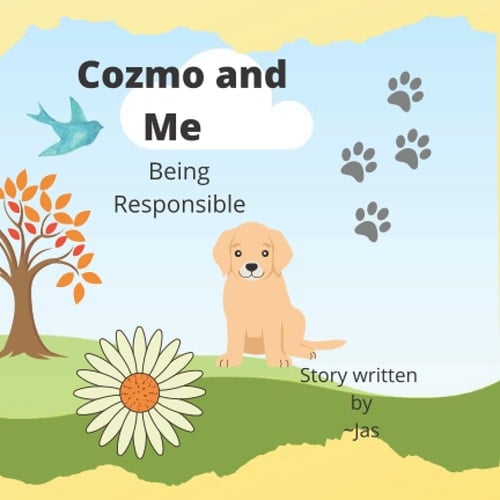 Cozmo and Me: Being Responsible