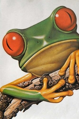 Composition Notebook Wide Ruled