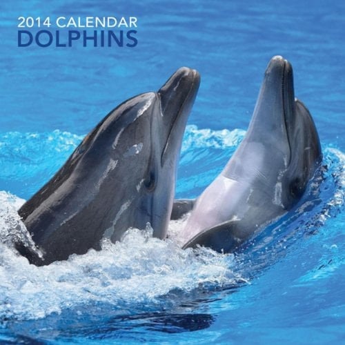 Dolphins 2014 Calendar