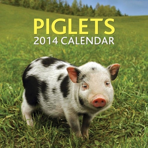 Piglets 2014 Calendar
